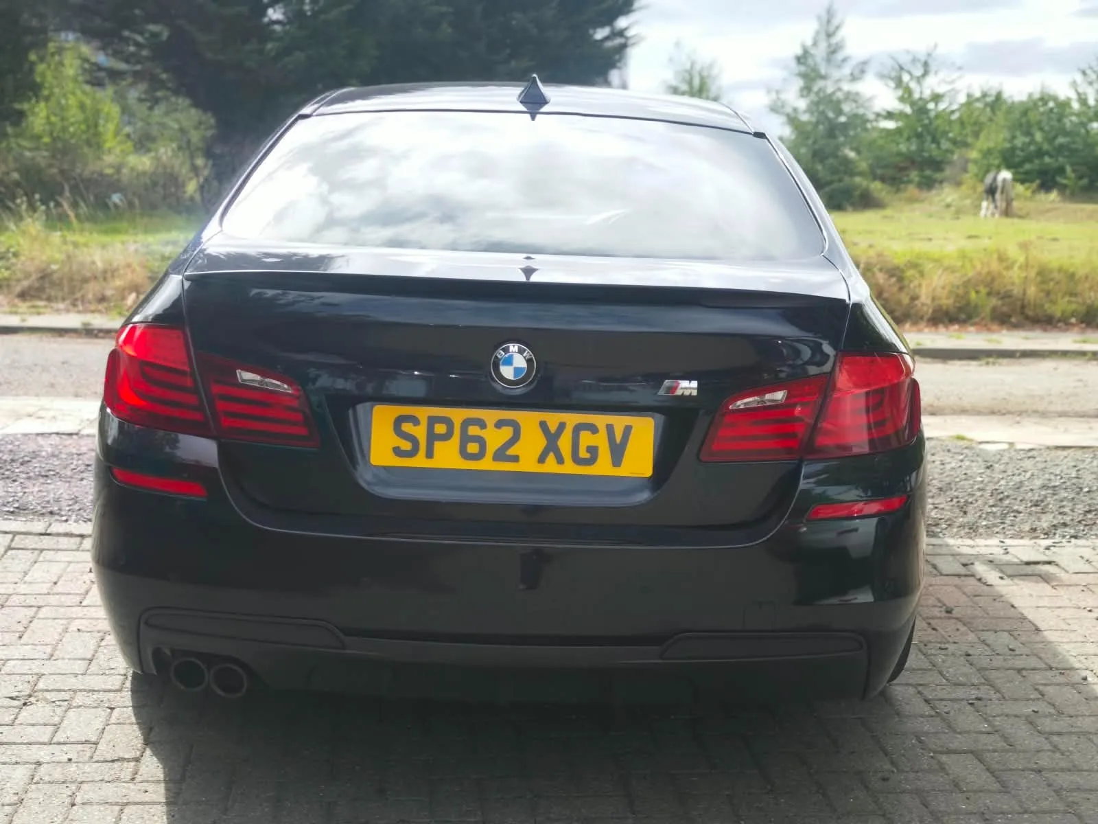 2012 BMW 5 Series 2.0 520d M Sport photo 9